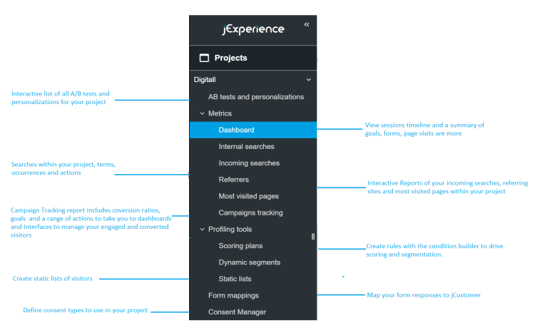 project menu overview.png